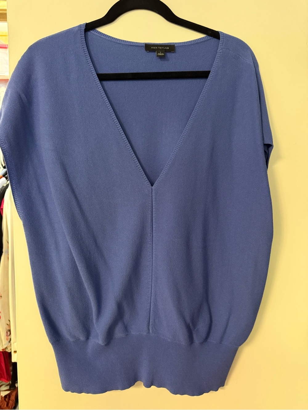Ann Taylor Blue V-Neck Short Sleeve Sweater